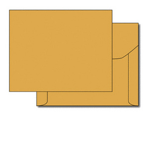 Brown Kraft Envelopes with Wide Flaps