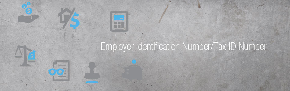 Employer Identification Number/Tax ID Number